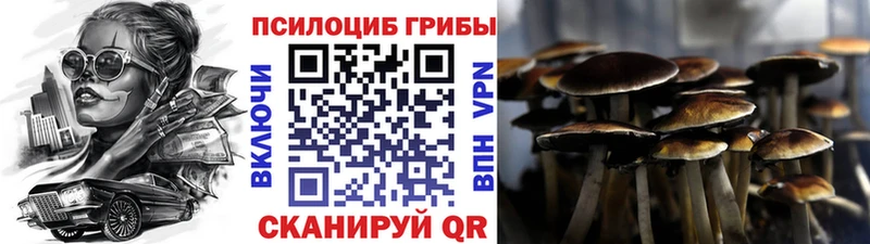 Галлюциногенные грибы MAGIC MUSHROOMS  Шумерля 