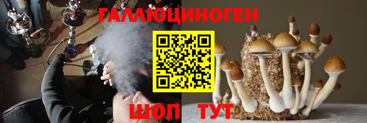 Псилоцибиновые грибы Psilocybine cubensis  Вход с VPN  сколько стоит  Шумерля 